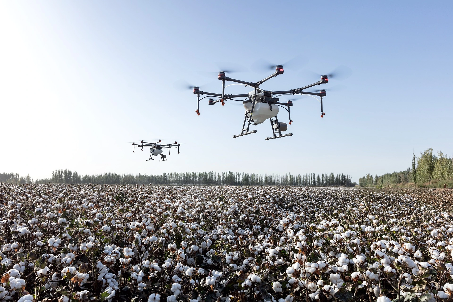 cotton farming with artficial inteelligence